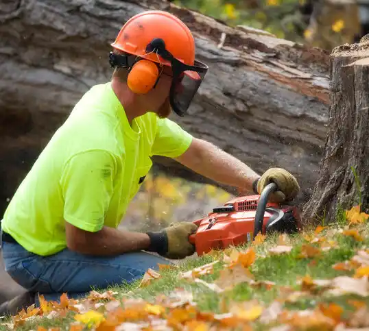 tree services Bad Axe